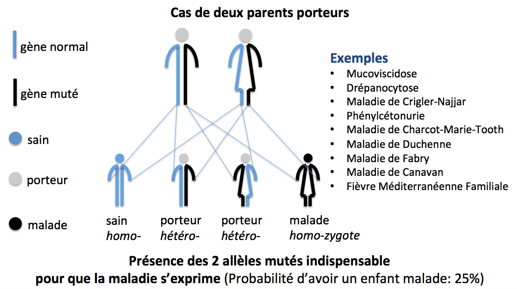 Transmission re cessive