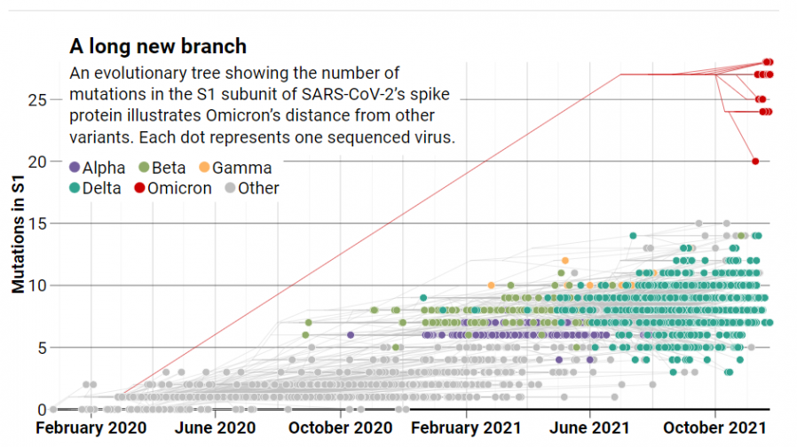 Arbre phylogenetique sars cov 2 omicron