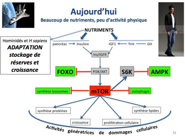 Aujourd hui 1