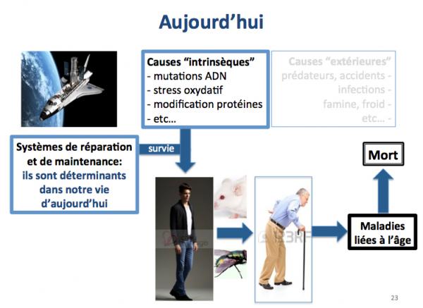 Aujourd hui 2