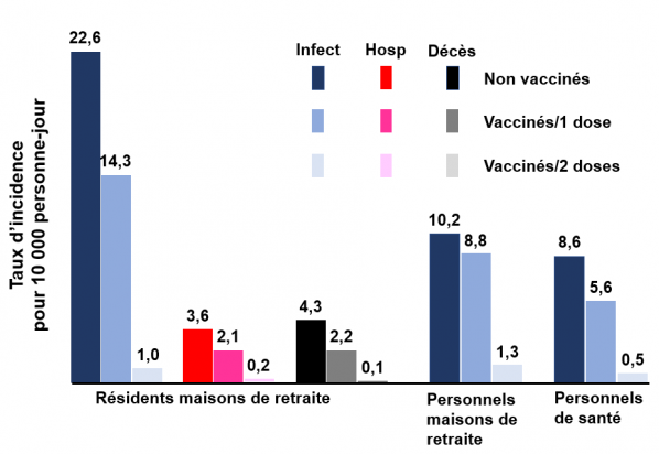 Cabezas adapte