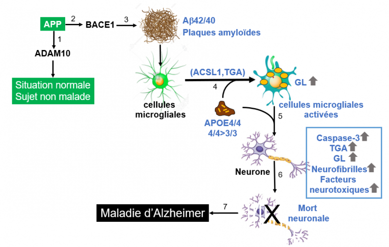 Conclusion haney et al 2024