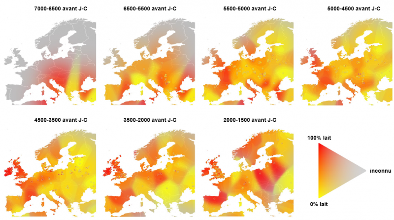 Consommation de lait en europe prehistorique