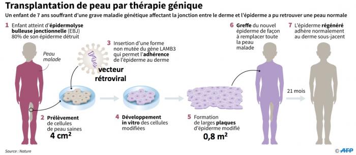 Fig1