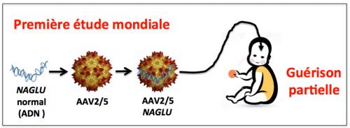 Figure 7 premier etude mondiale