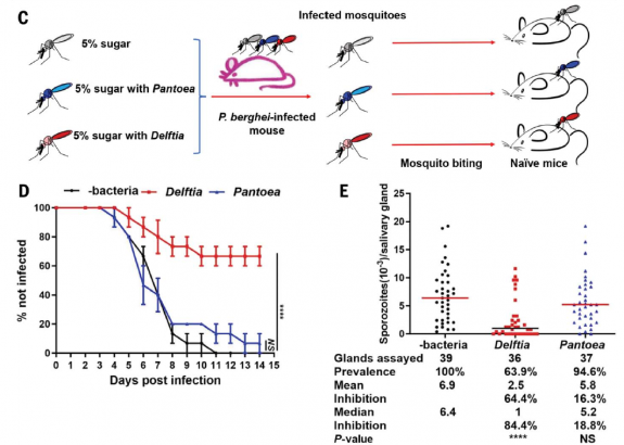 Figure huang et al