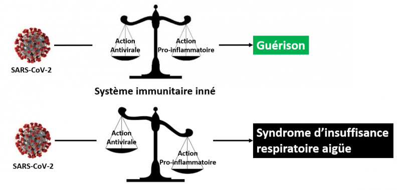 Guerison vs sars