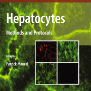 Hepatocytes cover