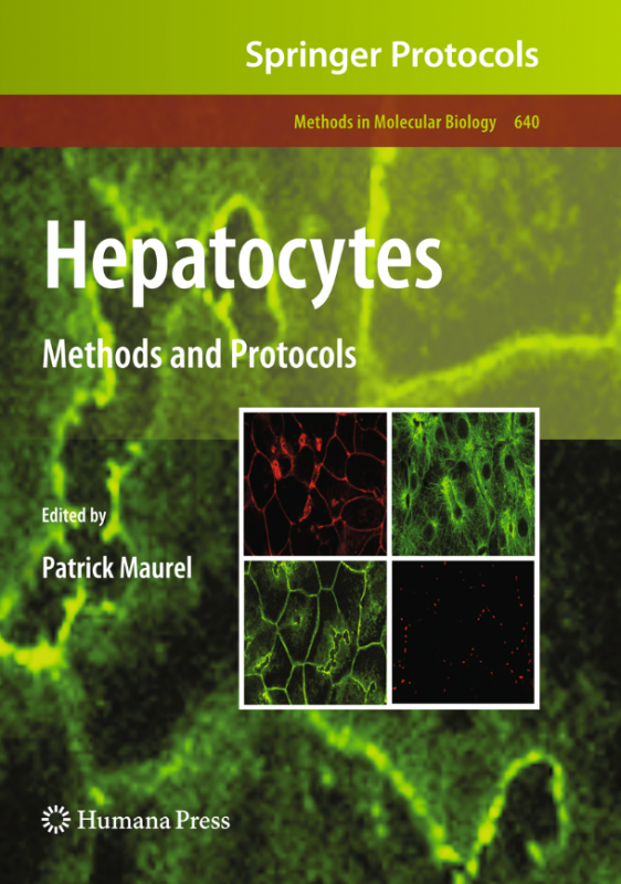 Hepatocytes cover