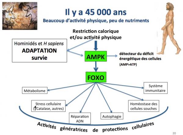 Il y a 45000 ans 1