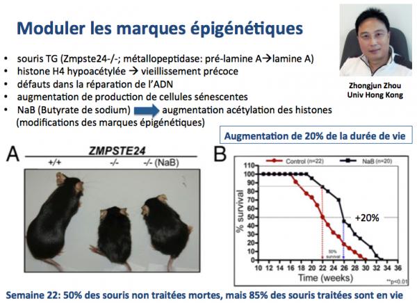 Modulation marques e pige ne tiues