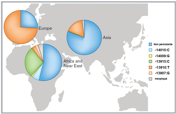 Mutations repartition mondiale swallow