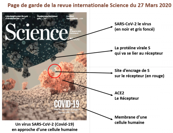 Page de garde de science 27 03 20