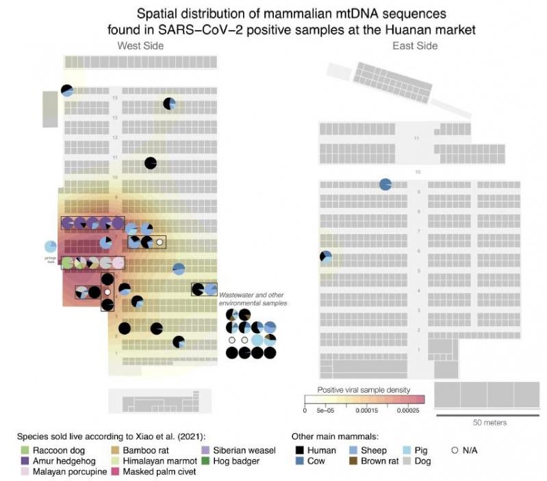 Plan du marche de huanan