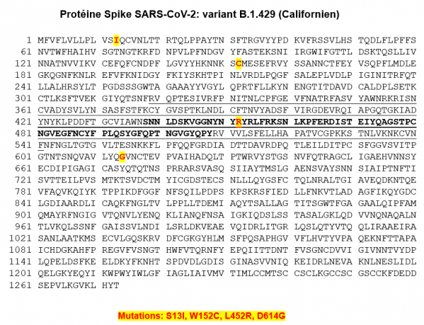 Protein s variant californien