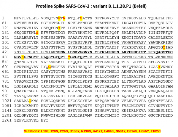 Proteine s variant bresil