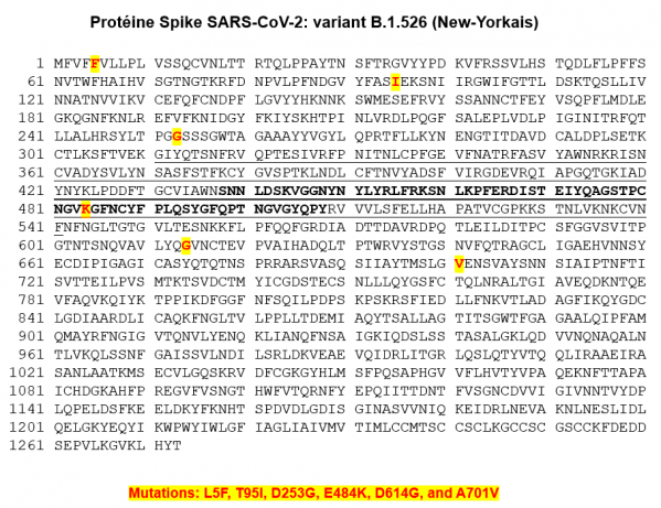 Proteine s variant new yorkais annavajhala
