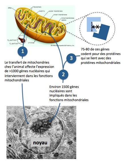 Risques biol