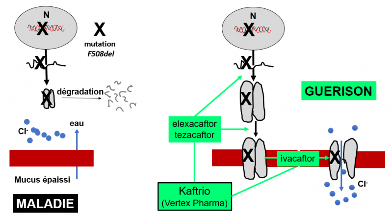 Tritherapie 3