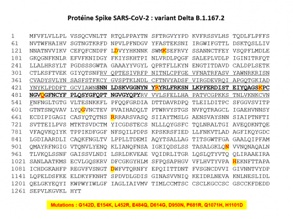 Variant delta 16 12 21